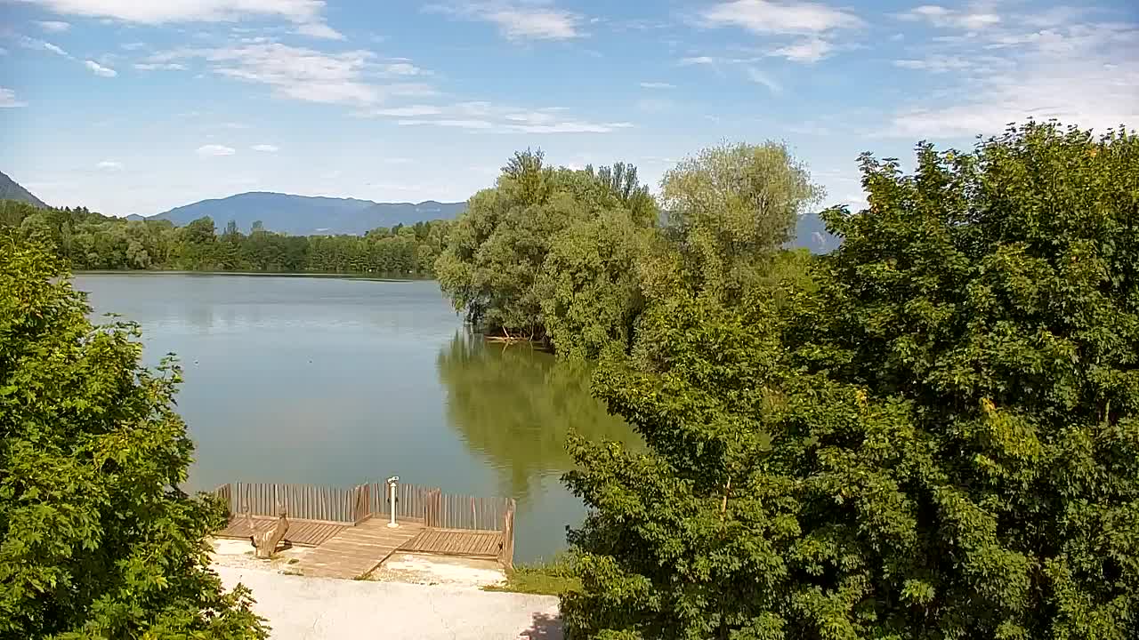 Spletna kamera Ribnik Vrbje – Žalec