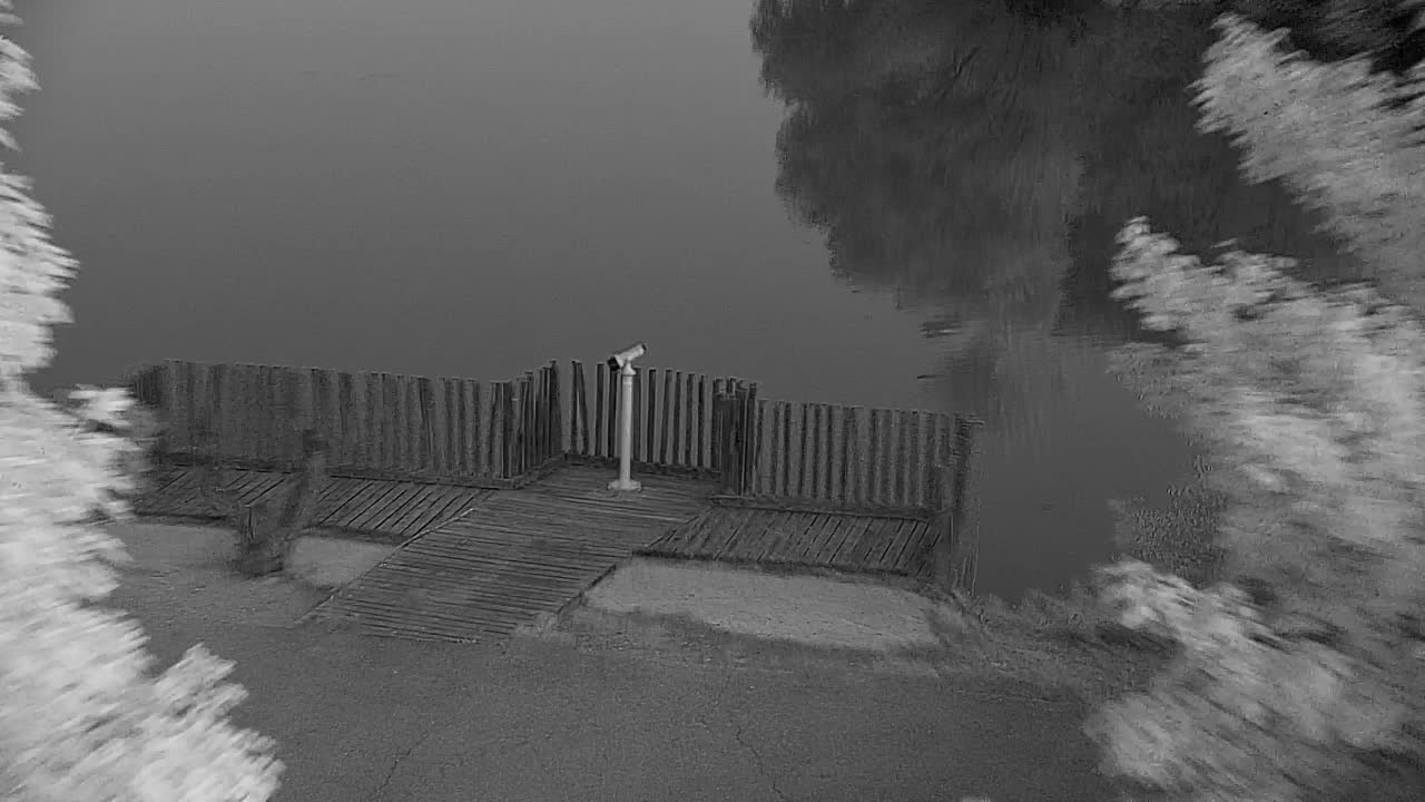 Webcam Ribnik Vrbje – Žalec