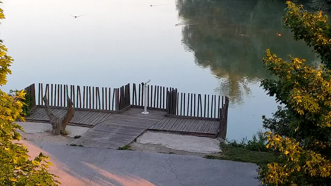 Webcam Ribnik Vrbje – Žalec