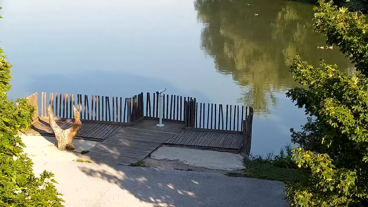 Webcam Ribnik Vrbje – Žalec