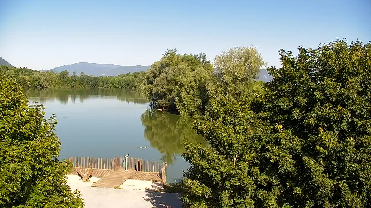 Webcam Ribnik Vrbje – Žalec