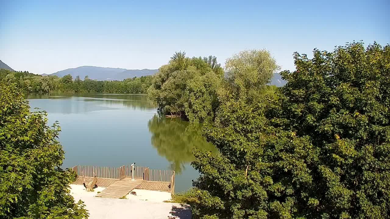 Web kamera Ribnik Vrbje – Žalec