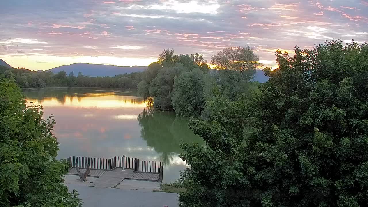 Webcam Ribnik Vrbje – Žalec