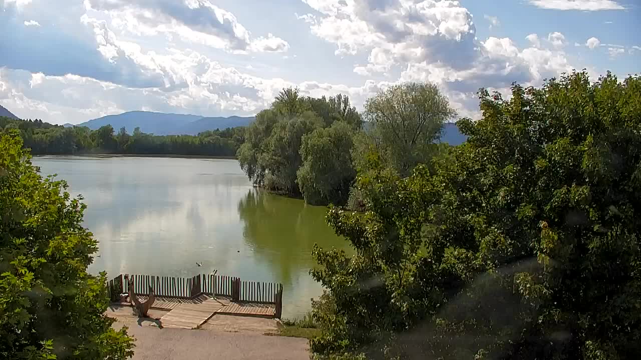 Webcam Ribnik Vrbje – Žalec