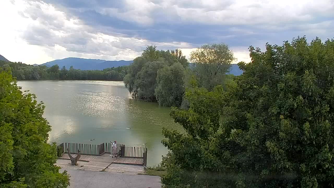 Webcam Ribnik Vrbje – Žalec