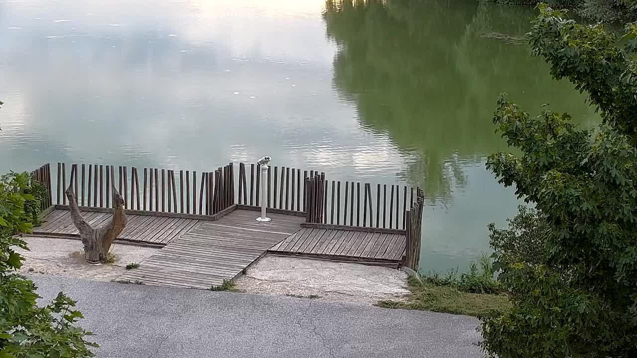 Webcam Ribnik Vrbje – Žalec