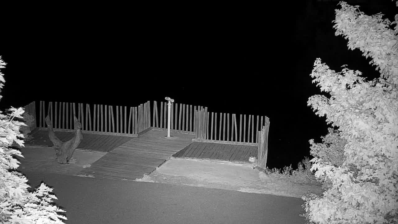 Webcam Ribnik Vrbje – Žalec