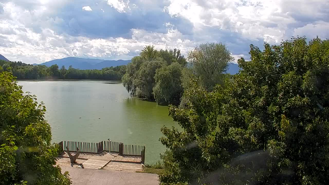 Webcam Ribnik Vrbje – Žalec