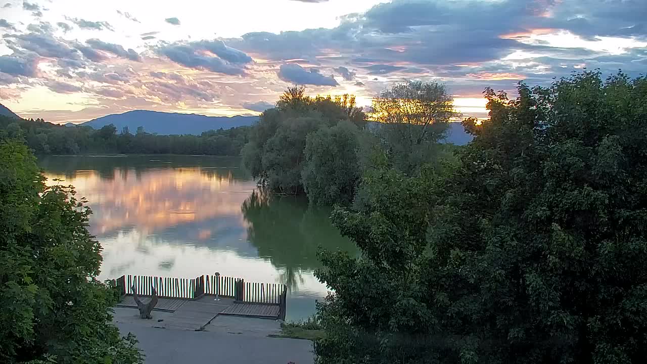Webcam Ribnik Vrbje – Žalec