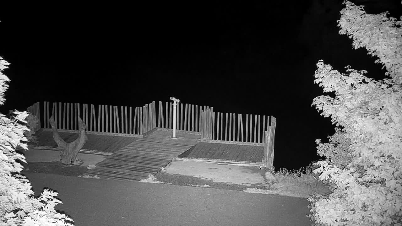 Webcam Ribnik Vrbje – Žalec