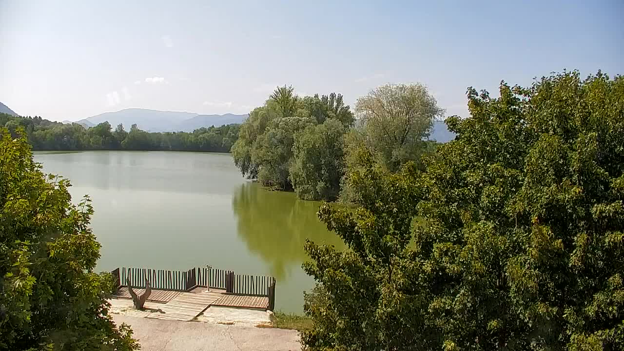 Spletna kamera Ribnik Vrbje – Žalec