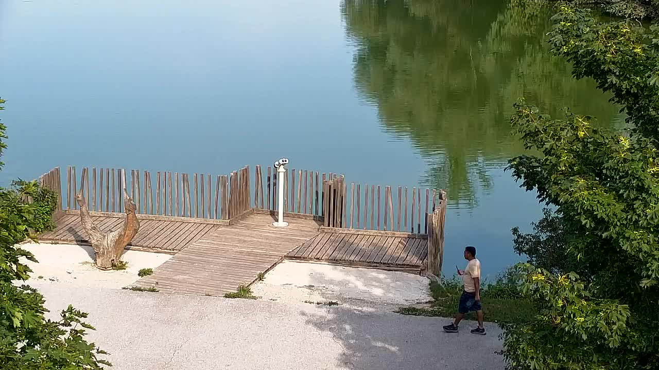 Webcam Ribnik Vrbje – Žalec