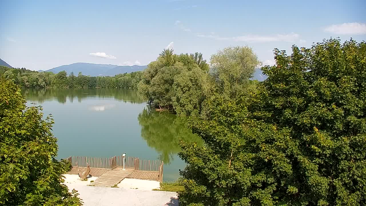 Webcam Ribnik Vrbje – Žalec