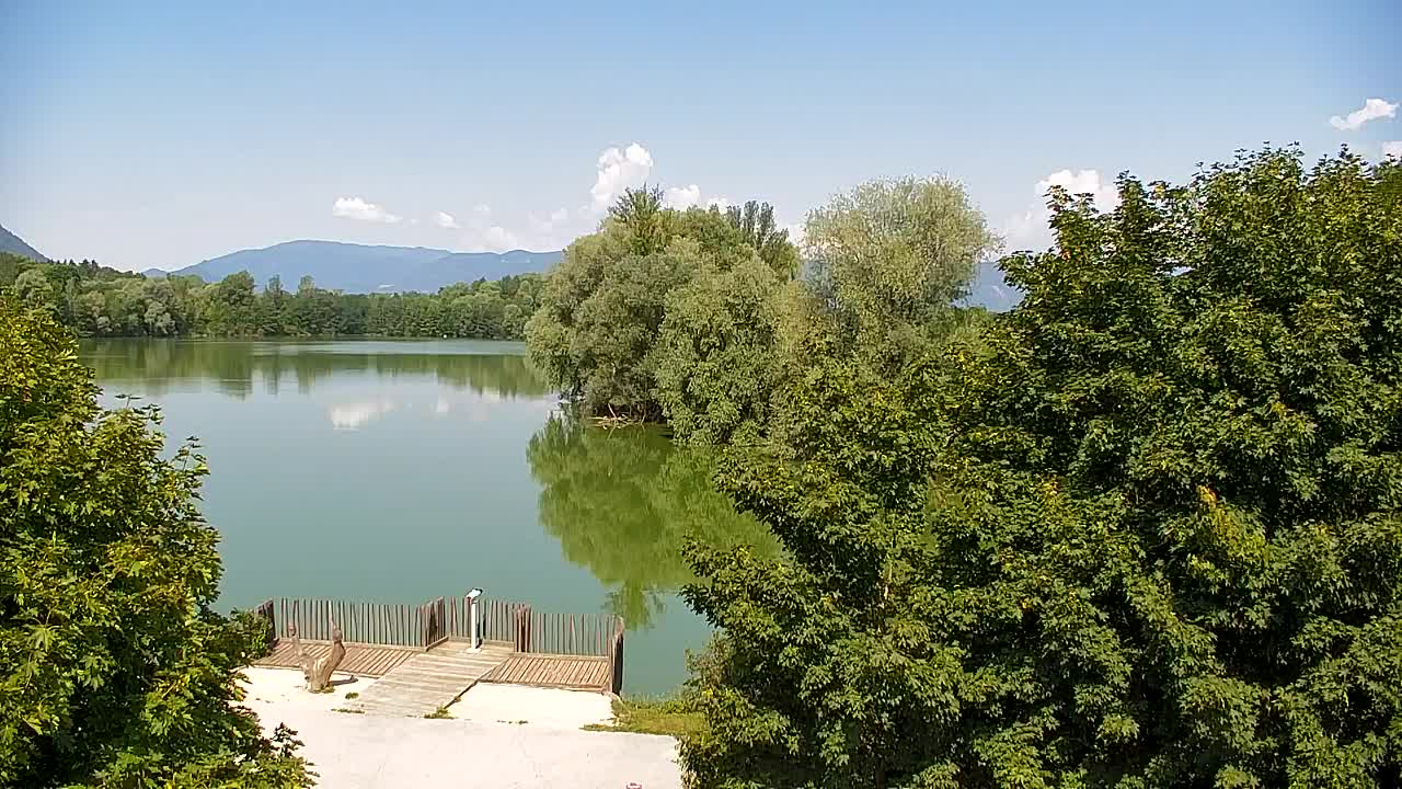 Webcam Ribnik Vrbje – Žalec