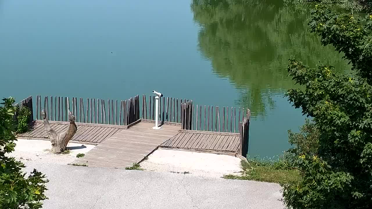 Webcam Ribnik Vrbje – Žalec