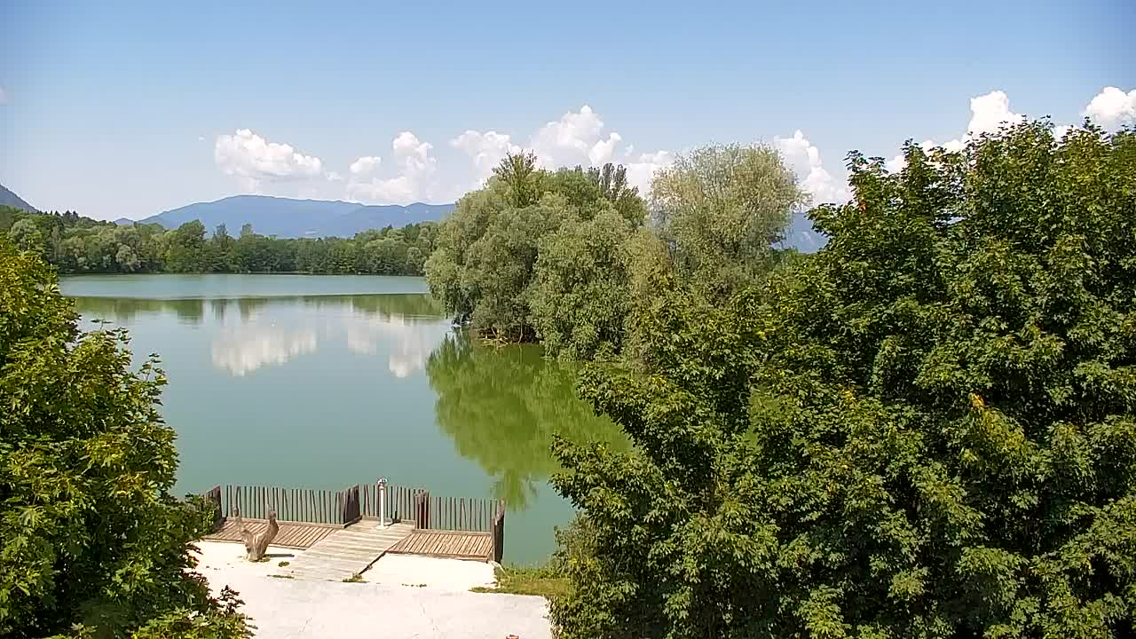 Webcam Ribnik Vrbje – Žalec