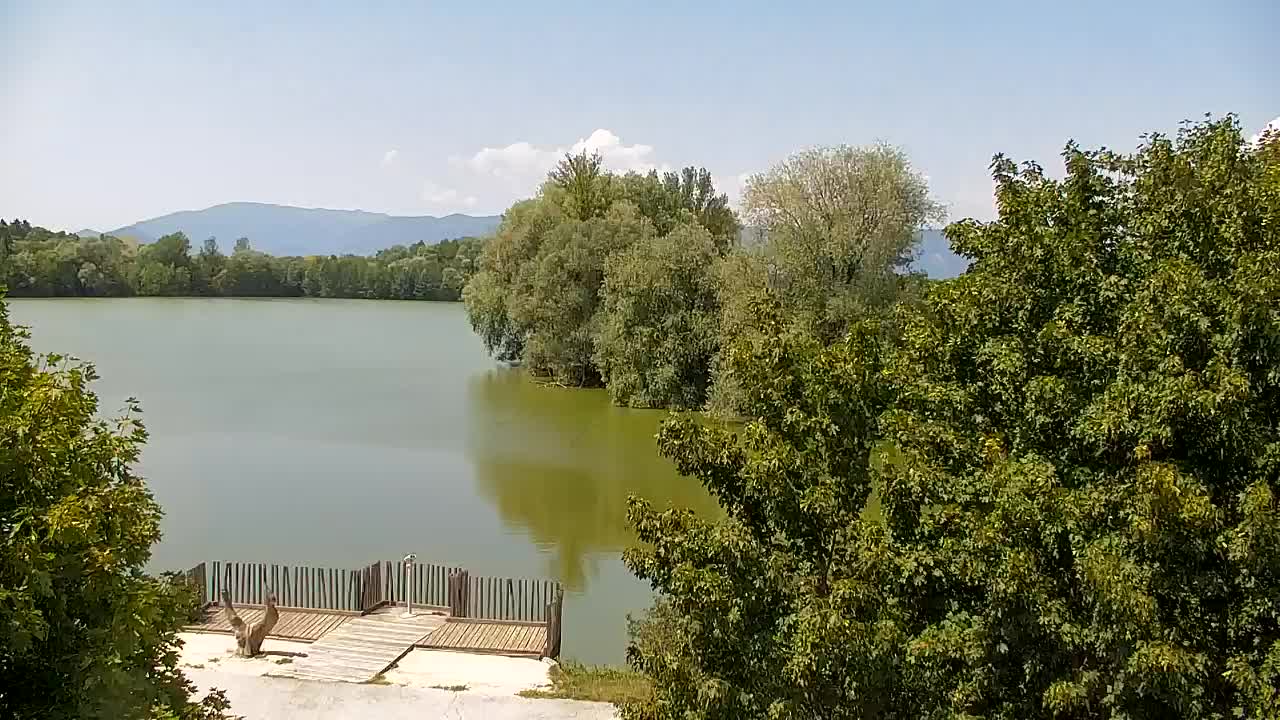 Webcam Ribnik Vrbje – Žalec