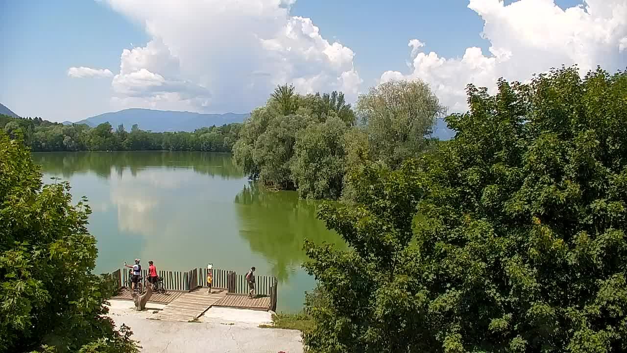Web kamera Ribnik Vrbje – Žalec