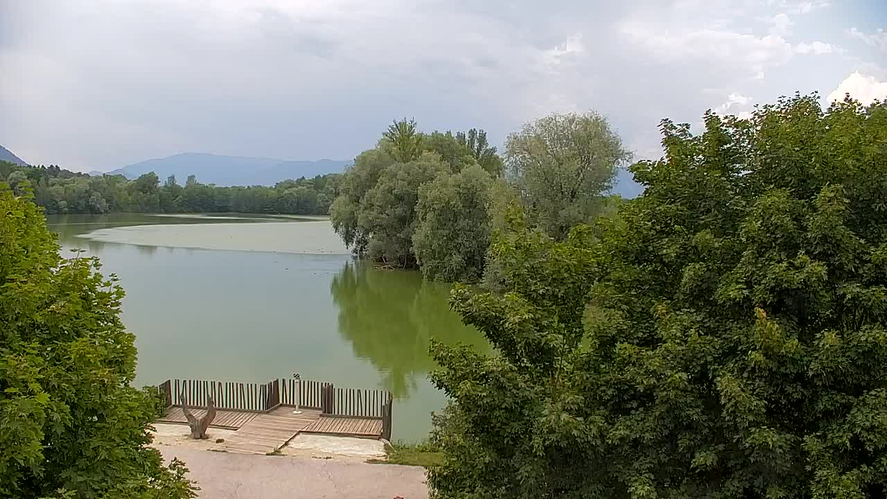 Webcam Ribnik Vrbje – Žalec