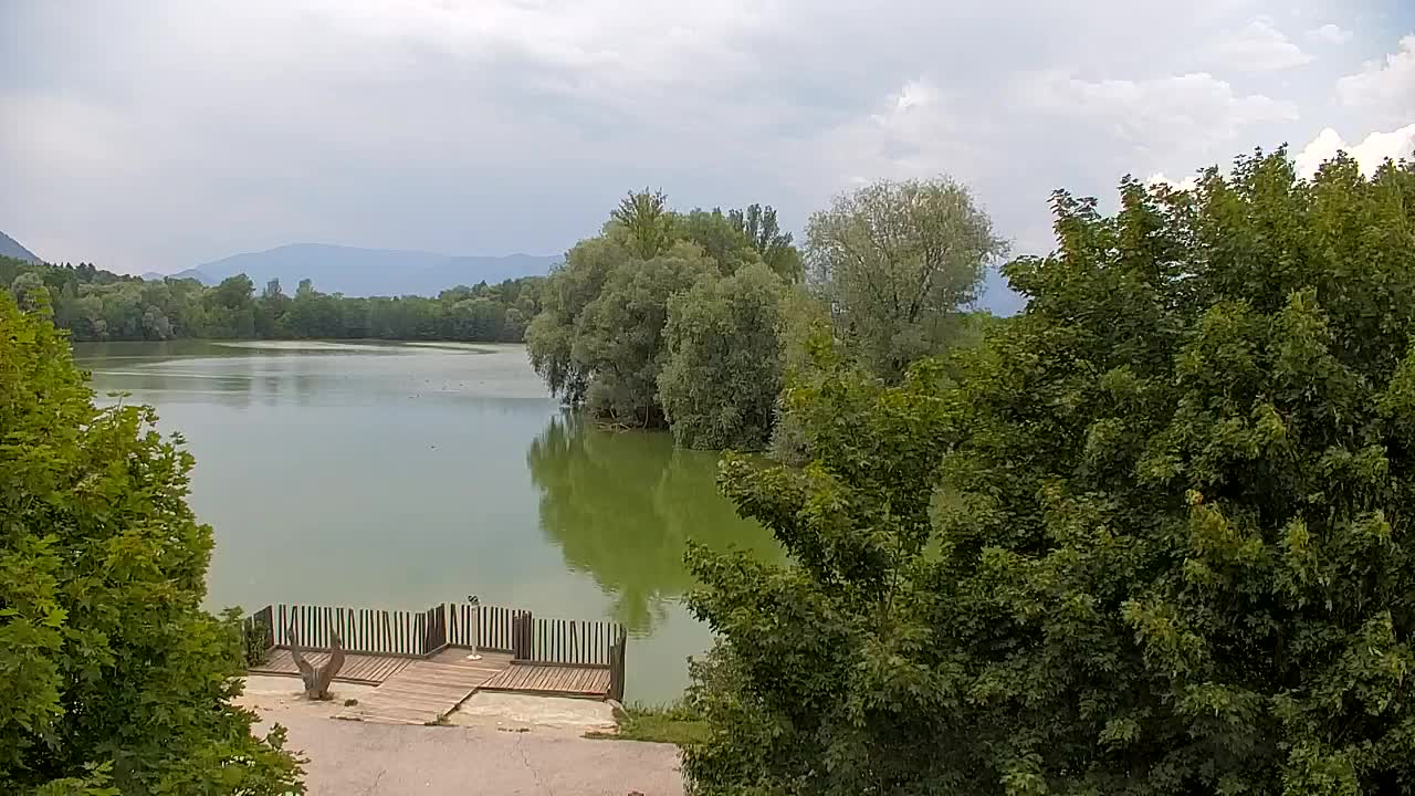 Spletna kamera Ribnik Vrbje – Žalec