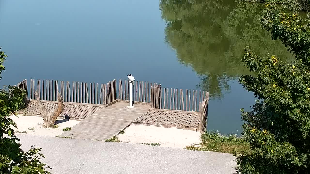 Webcam Ribnik Vrbje – Žalec