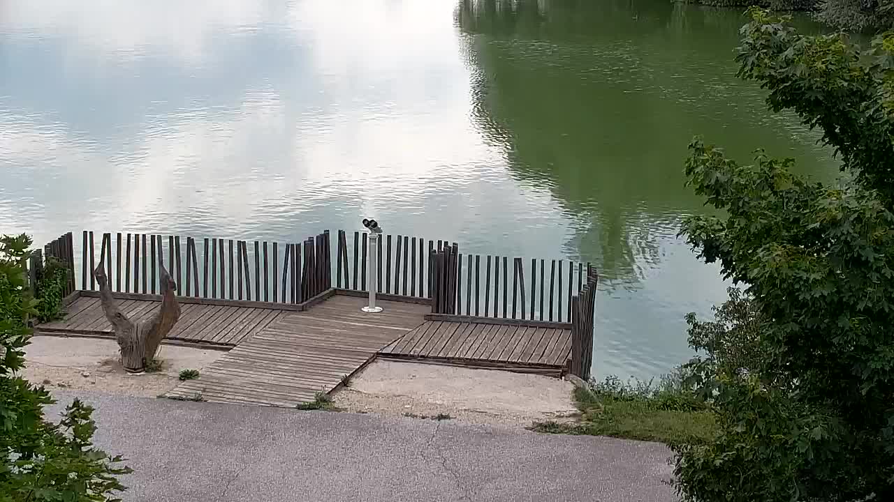 Spletna kamera Ribnik Vrbje – Žalec