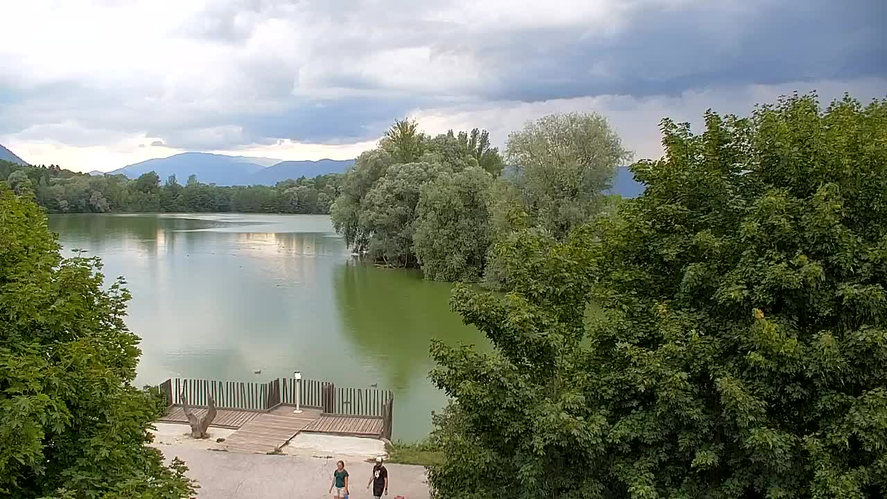 Spletna kamera Ribnik Vrbje – Žalec