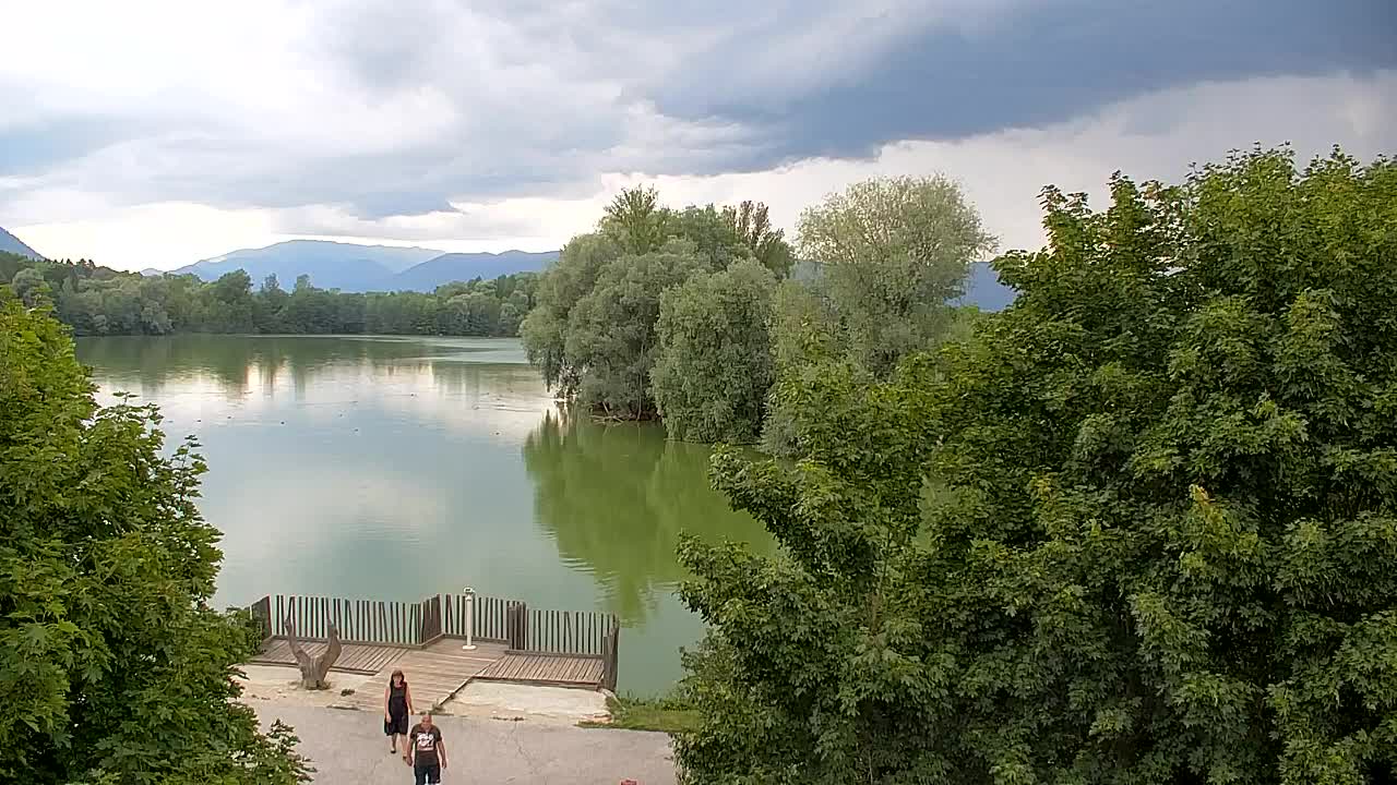 Webcam Ribnik Vrbje – Žalec