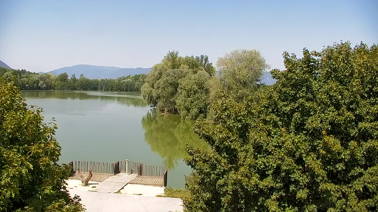 Webcam Ribnik Vrbje – Žalec