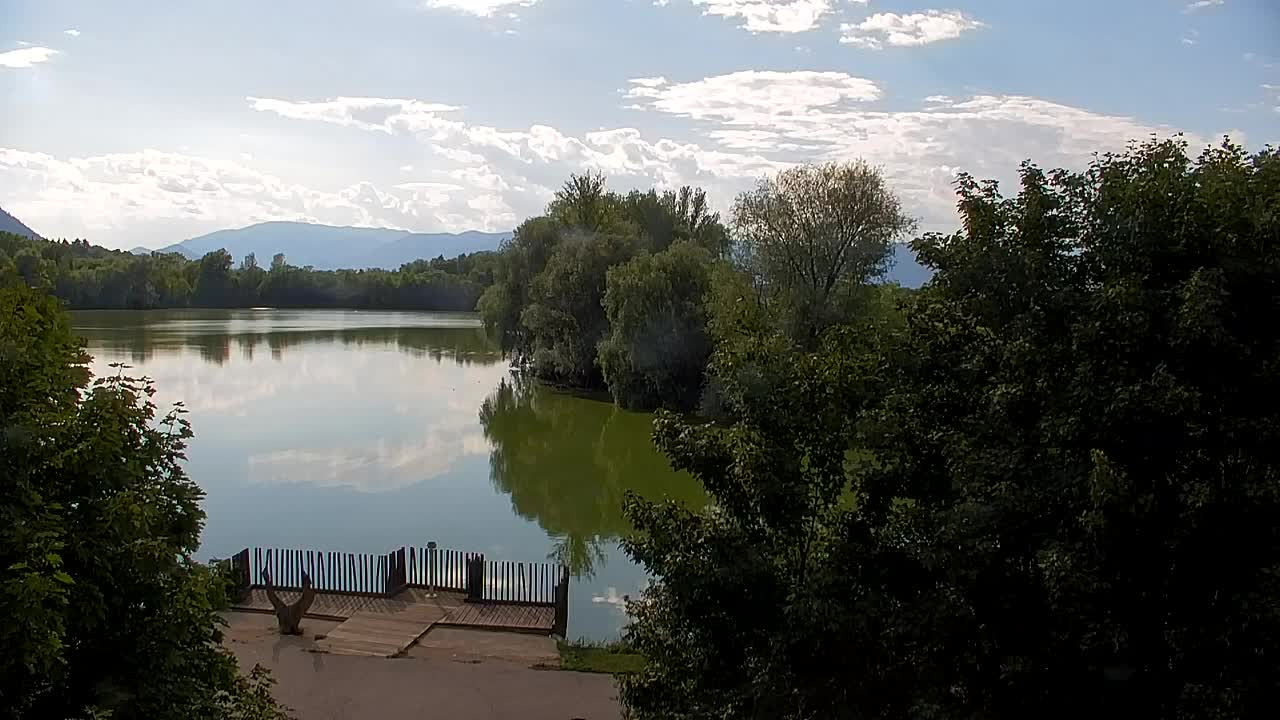 Spletna kamera Ribnik Vrbje – Žalec