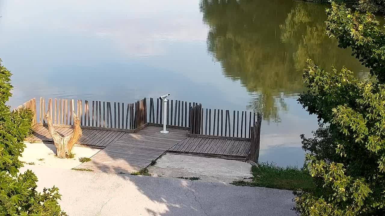 Spletna kamera Ribnik Vrbje – Žalec