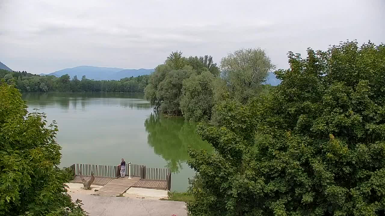Webcam Ribnik Vrbje – Žalec