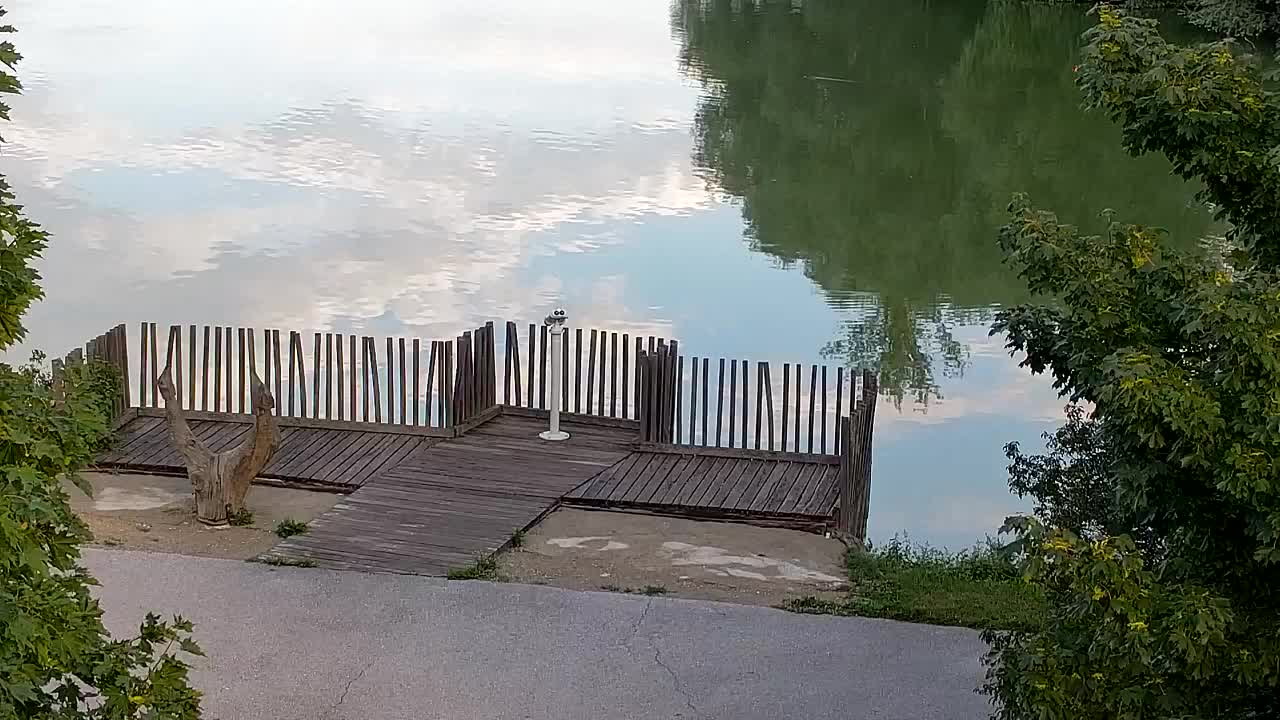 Spletna kamera Ribnik Vrbje – Žalec