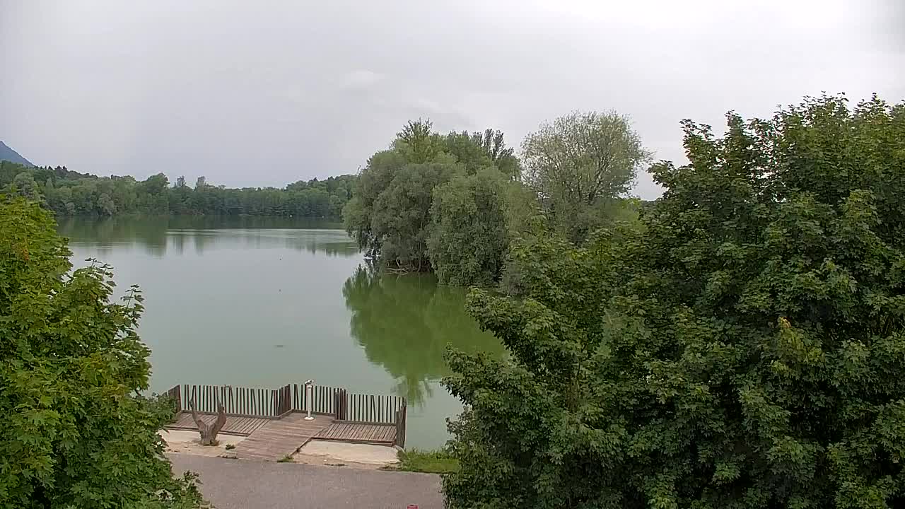 Webcam Ribnik Vrbje – Žalec