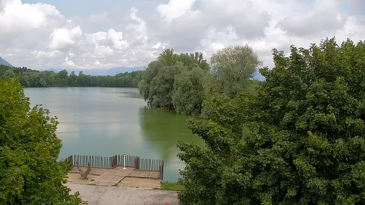 Webcam Ribnik Vrbje – Žalec
