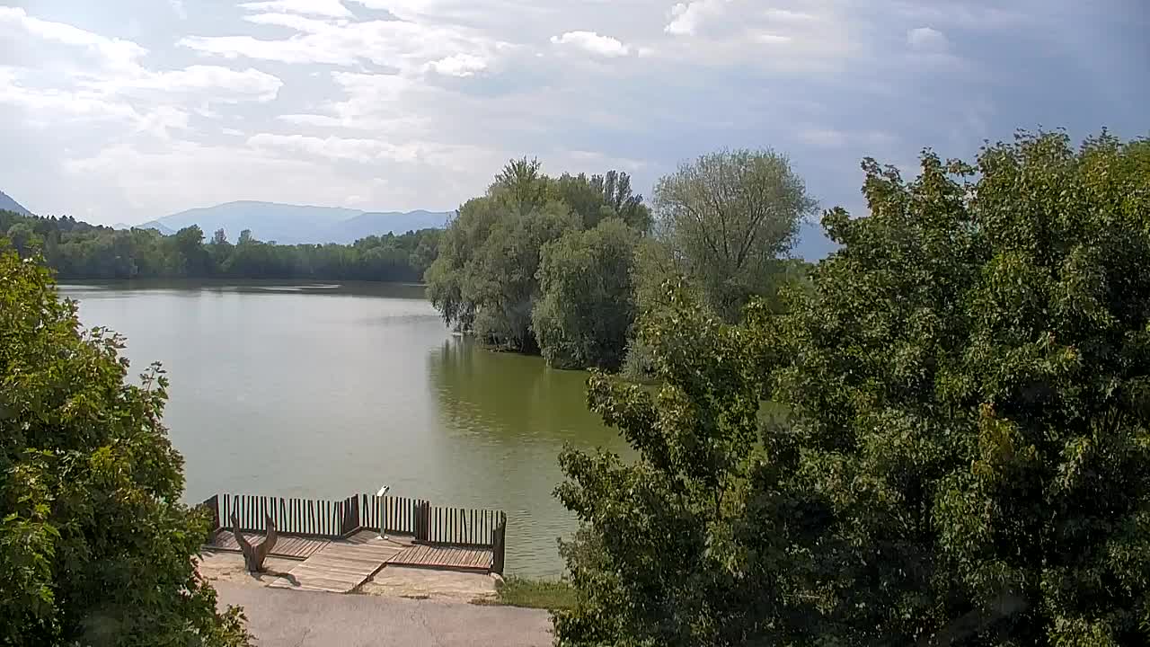 Webcam Ribnik Vrbje – Žalec