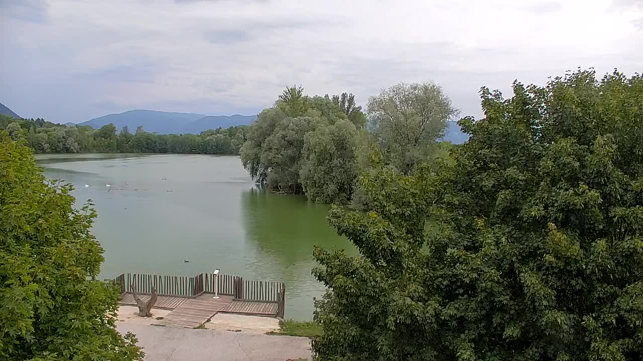 Webcam Ribnik Vrbje – Žalec