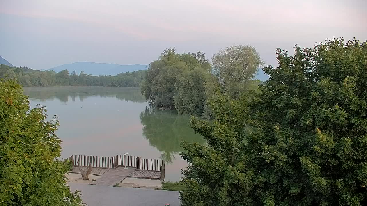 Webcam Ribnik Vrbje – Žalec