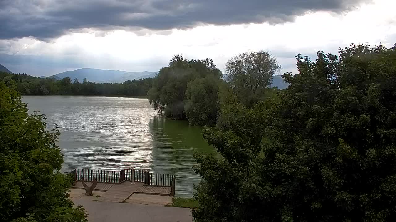 Web kamera Ribnik Vrbje – Žalec