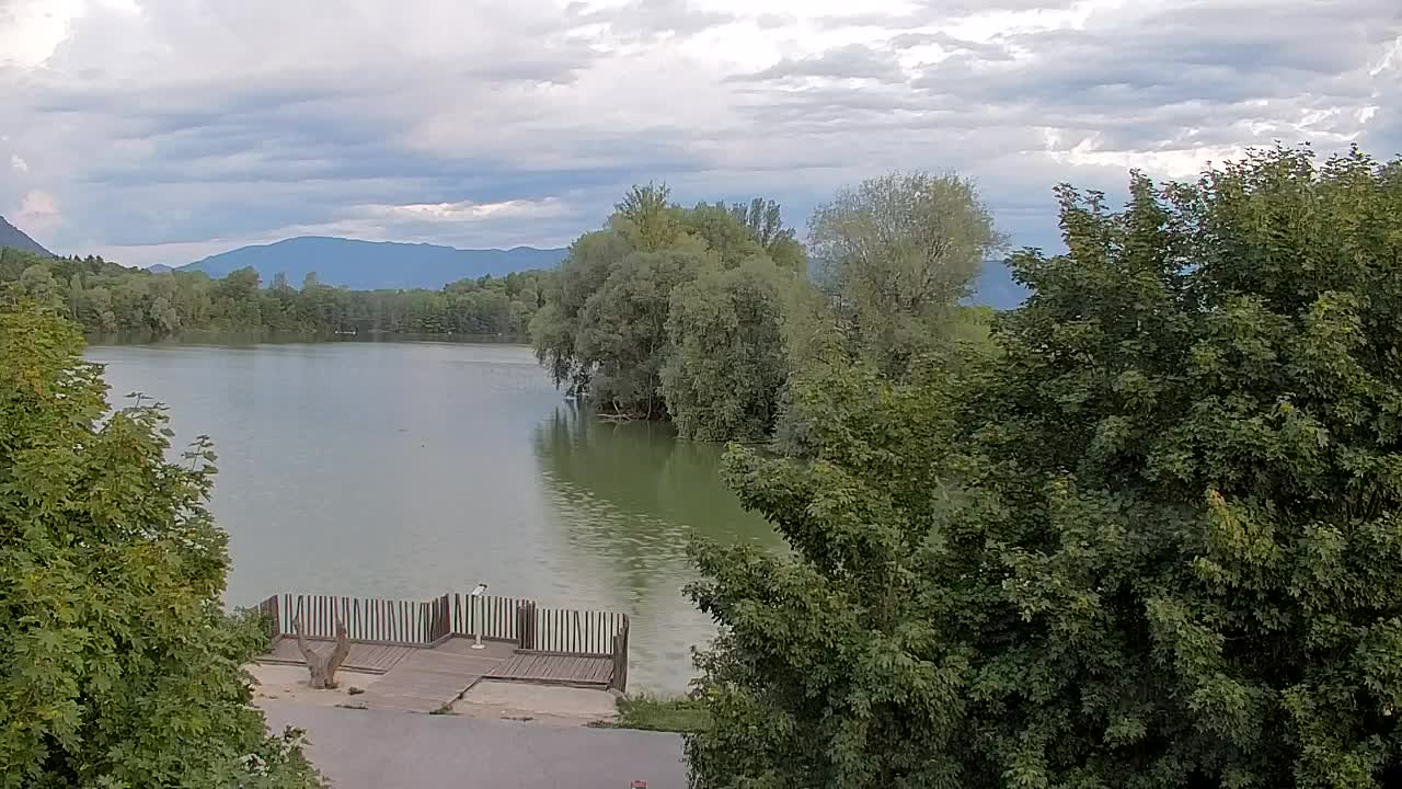 Webcam Ribnik Vrbje – Žalec
