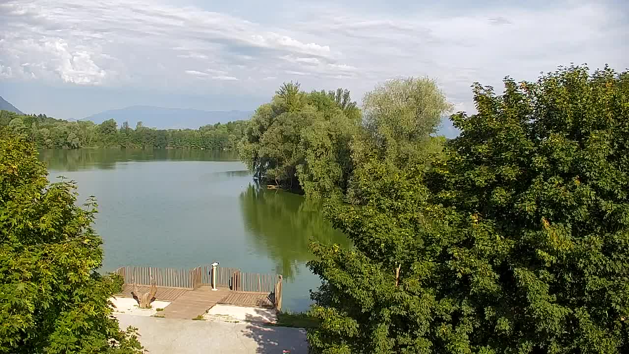 Spletna kamera Ribnik Vrbje – Žalec