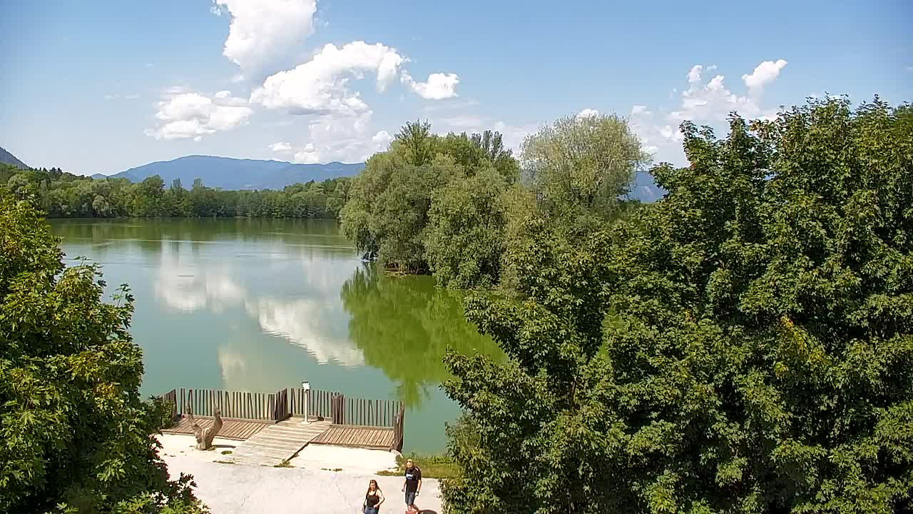 Web kamera Ribnik Vrbje – Žalec