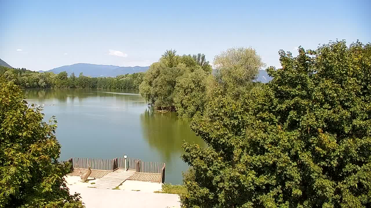 Webcam Ribnik Vrbje – Žalec