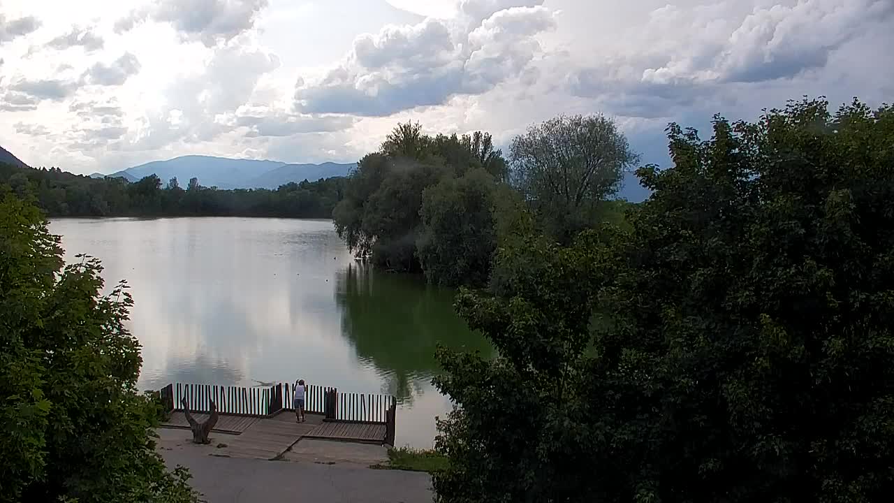 Webcam Ribnik Vrbje – Žalec