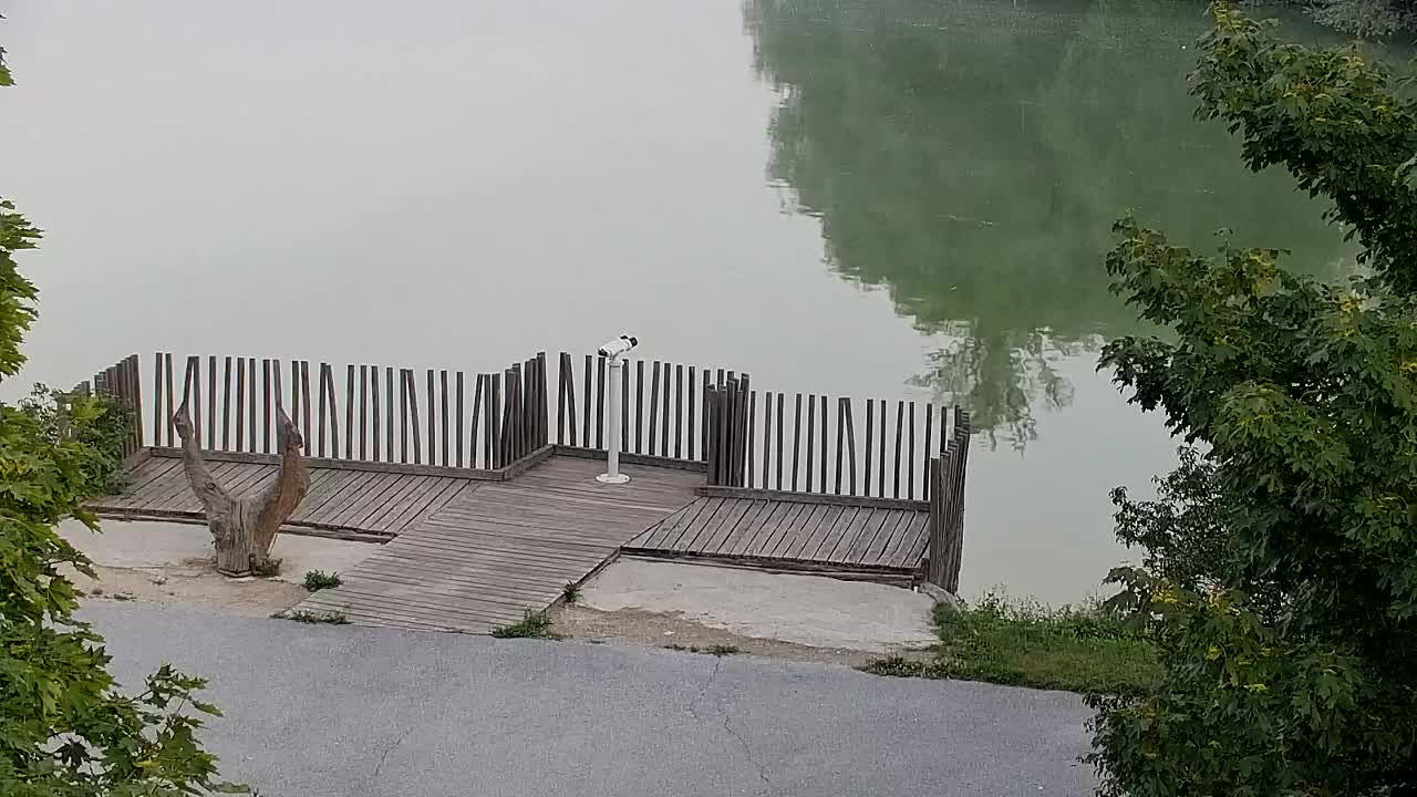 Webcam Ribnik Vrbje – Žalec