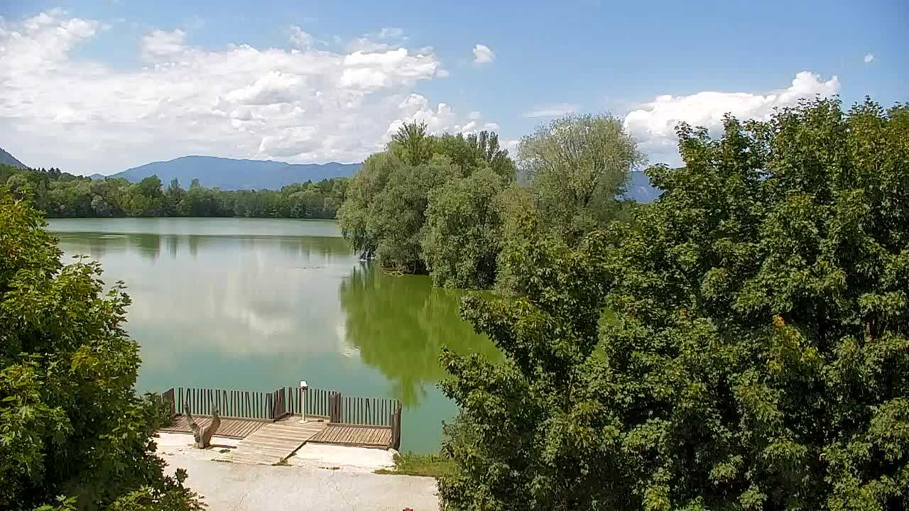 Webcam Ribnik Vrbje – Žalec
