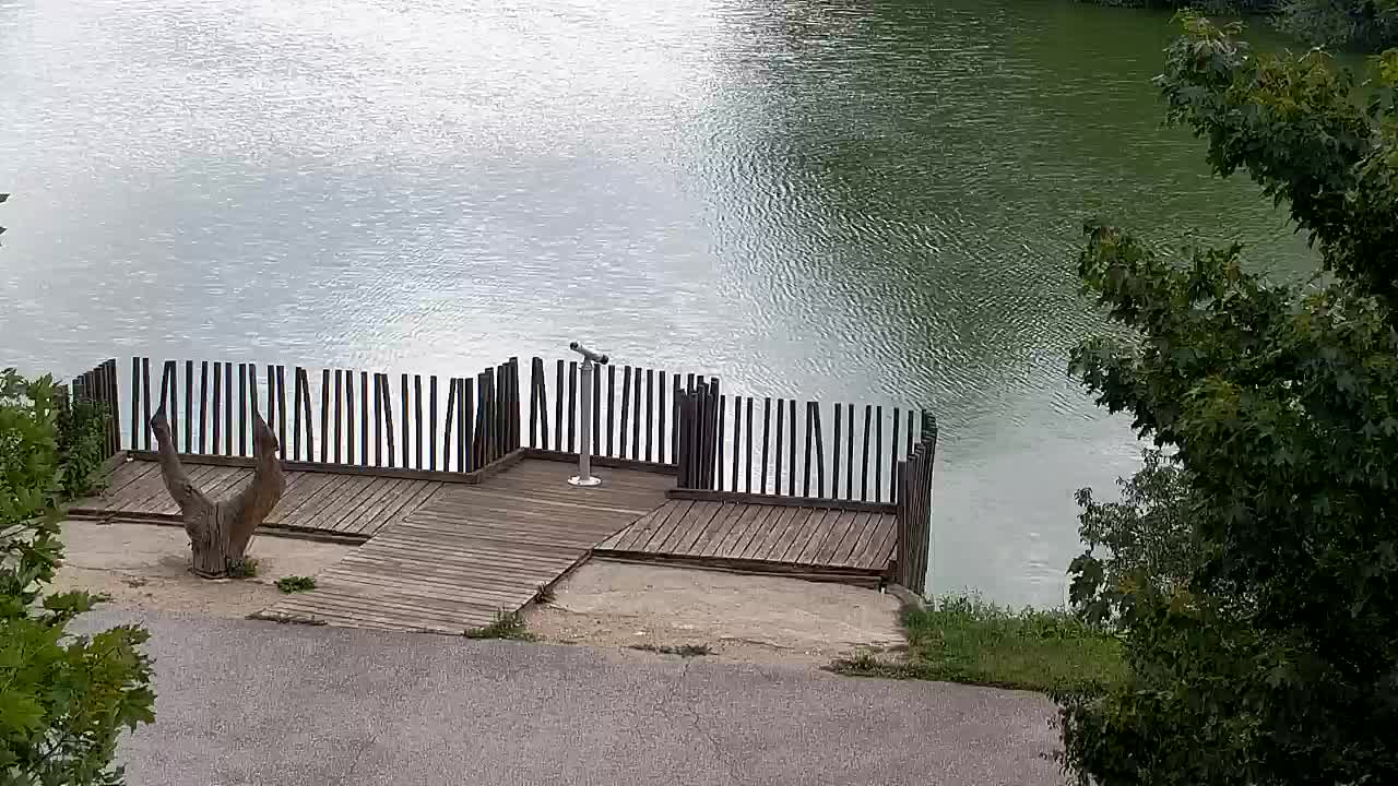 Webcam Ribnik Vrbje – Žalec