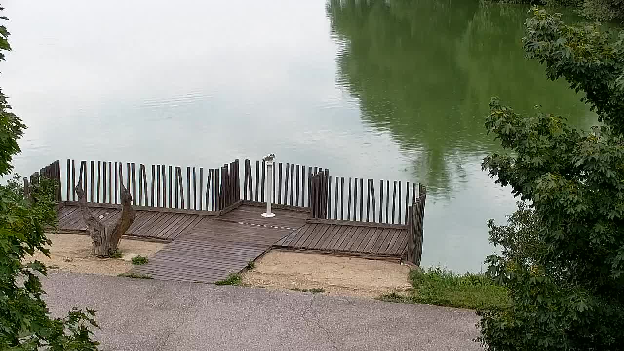 Webcam Ribnik Vrbje – Žalec