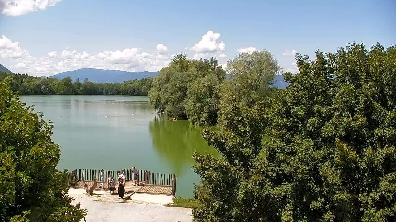 Webcam Ribnik Vrbje – Žalec