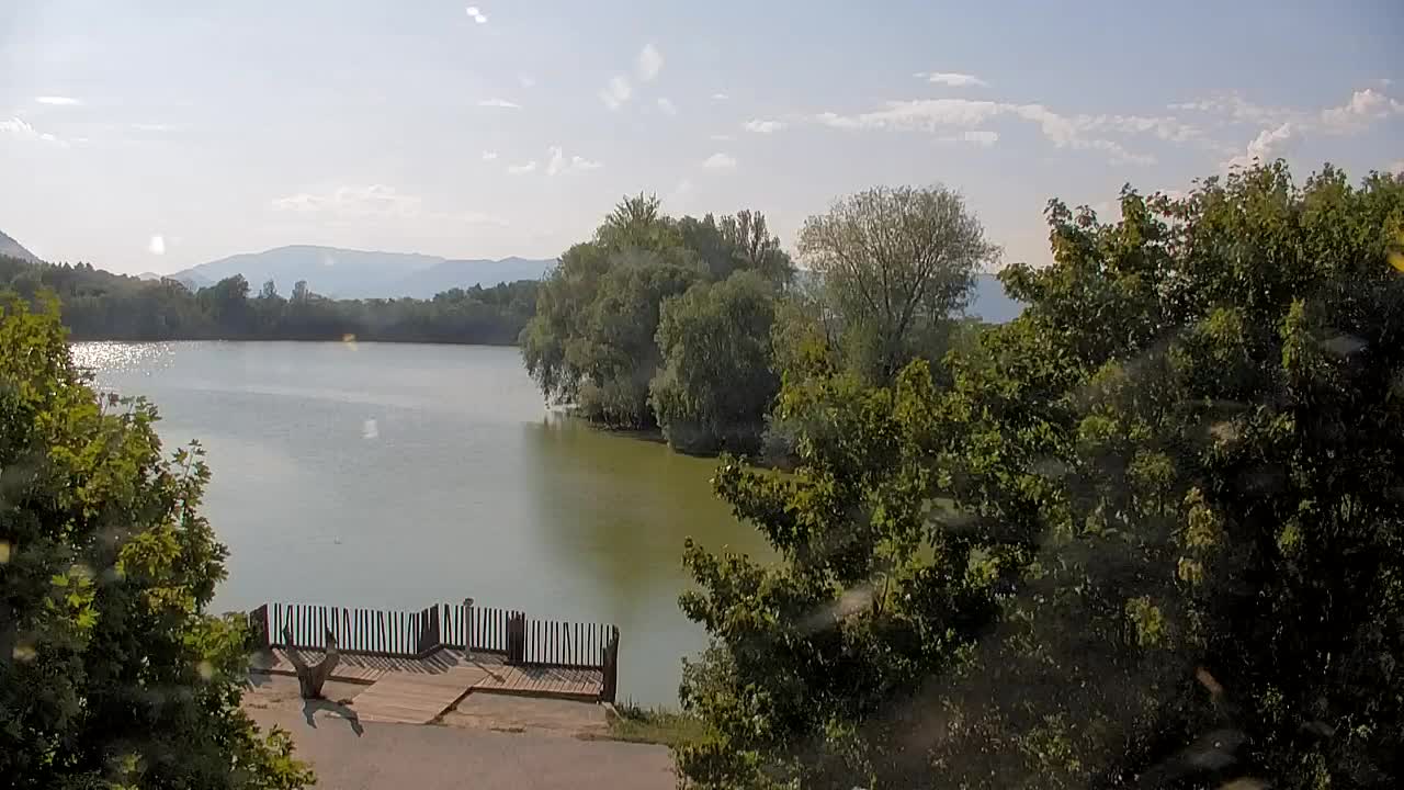 Webcam Ribnik Vrbje – Žalec